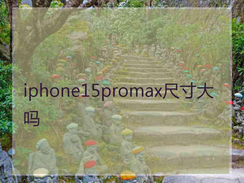 iphone15promax尺寸大吗