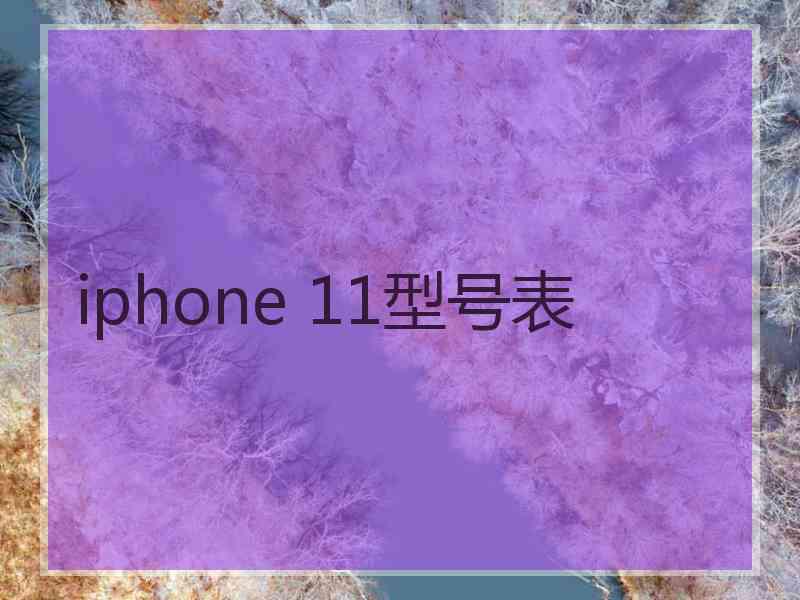 iphone 11型号表