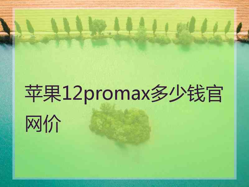 苹果12promax多少钱官网价