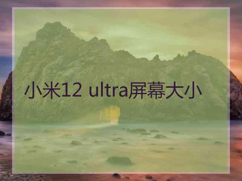 小米12 ultra屏幕大小