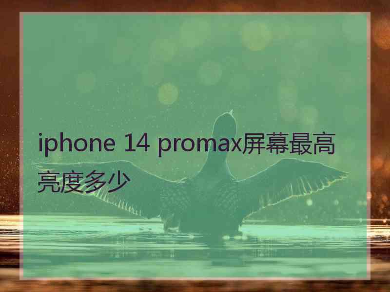 iphone 14 promax屏幕最高亮度多少