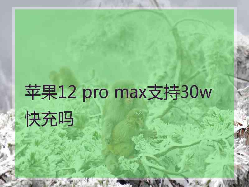 苹果12 pro max支持30w快充吗