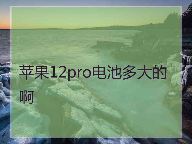 苹果12pro电池多大的啊