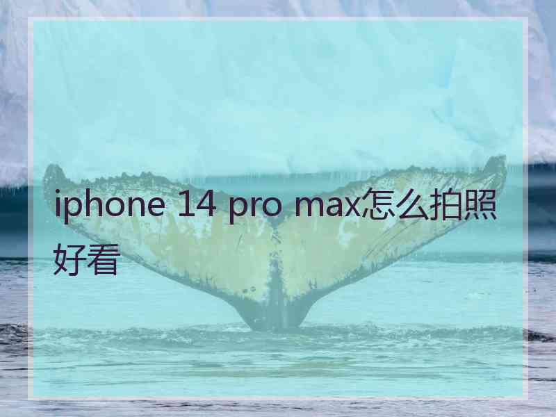 iphone 14 pro max怎么拍照好看