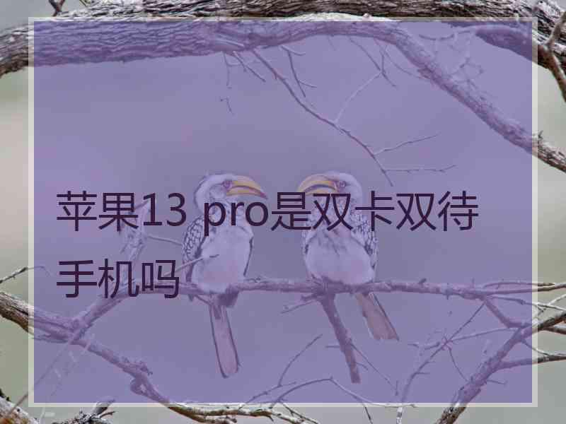 苹果13 pro是双卡双待手机吗