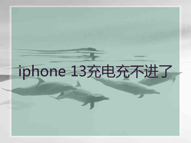 iphone 13充电充不进了