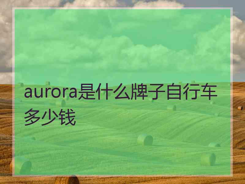 aurora是什么牌子自行车多少钱