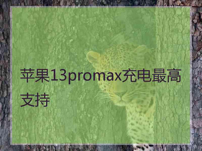 苹果13promax充电最高支持