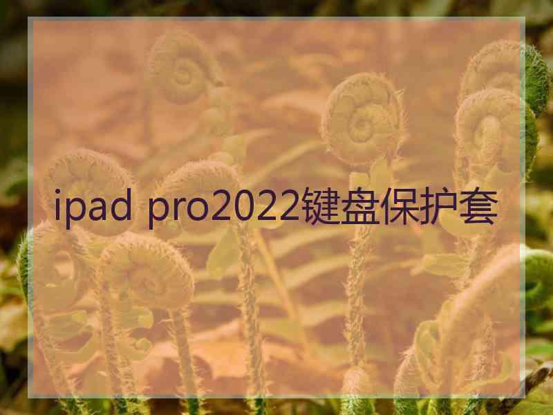 ipad pro2022键盘保护套