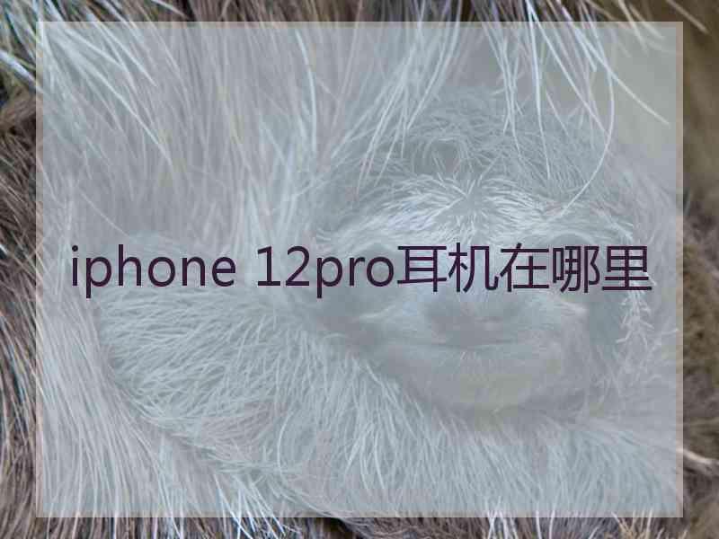 iphone 12pro耳机在哪里