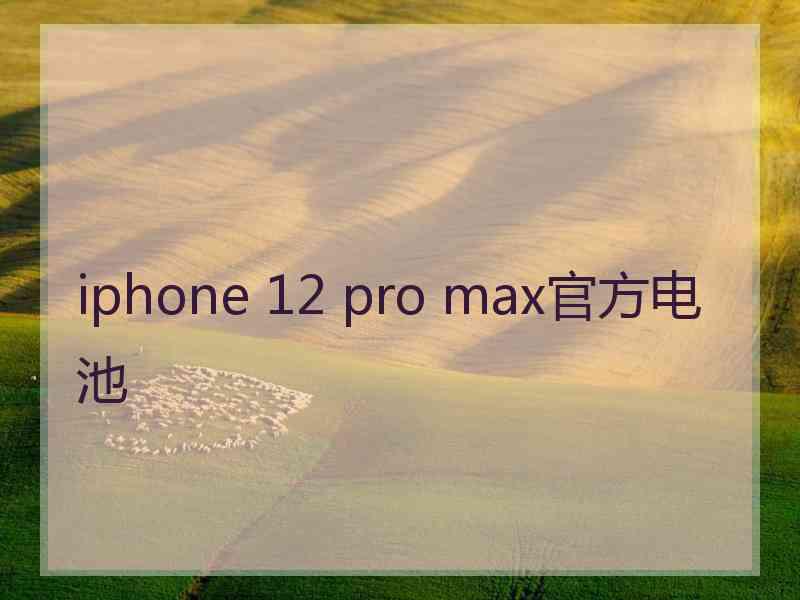 iphone 12 pro max官方电池