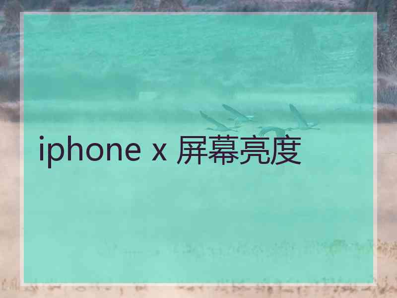 iphone x 屏幕亮度