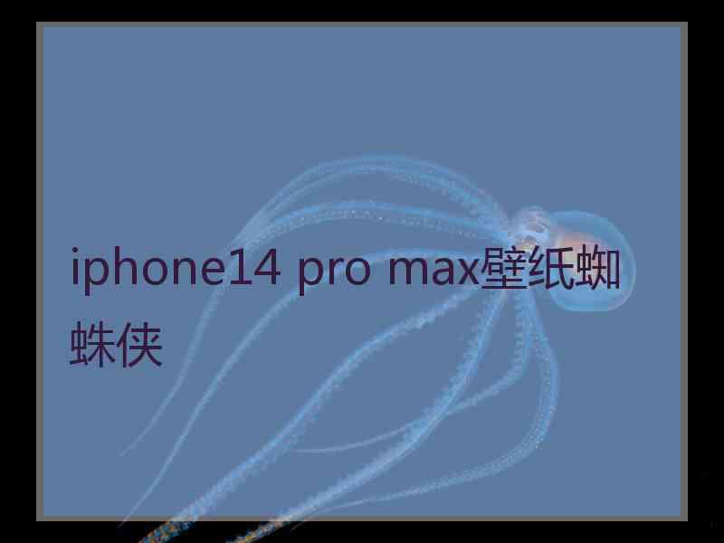 iphone14 pro max壁纸蜘蛛侠