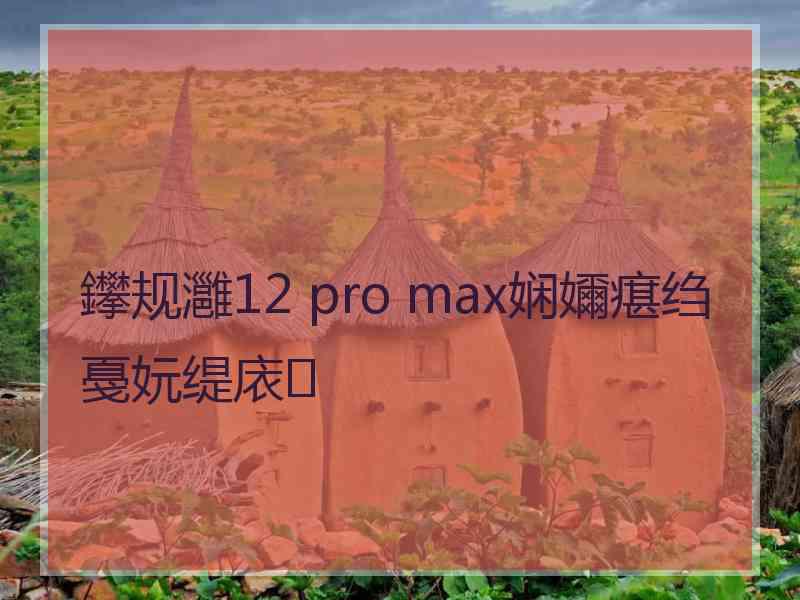 鑻规灉12 pro max娴嬭瘎绉戞妧缇庡