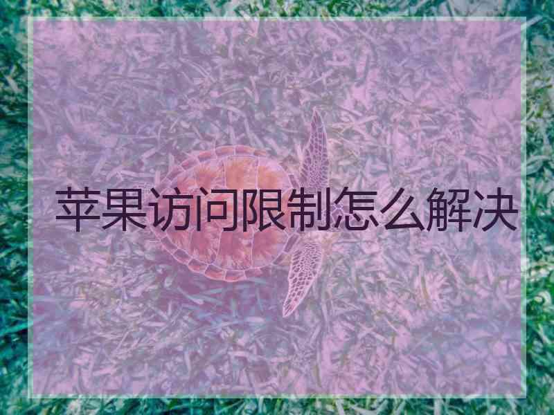 苹果访问限制怎么解决