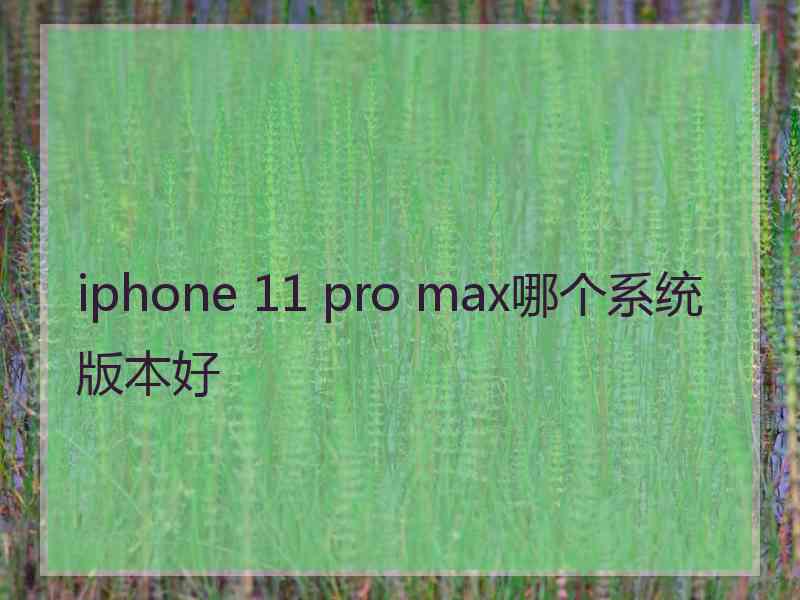 iphone 11 pro max哪个系统版本好