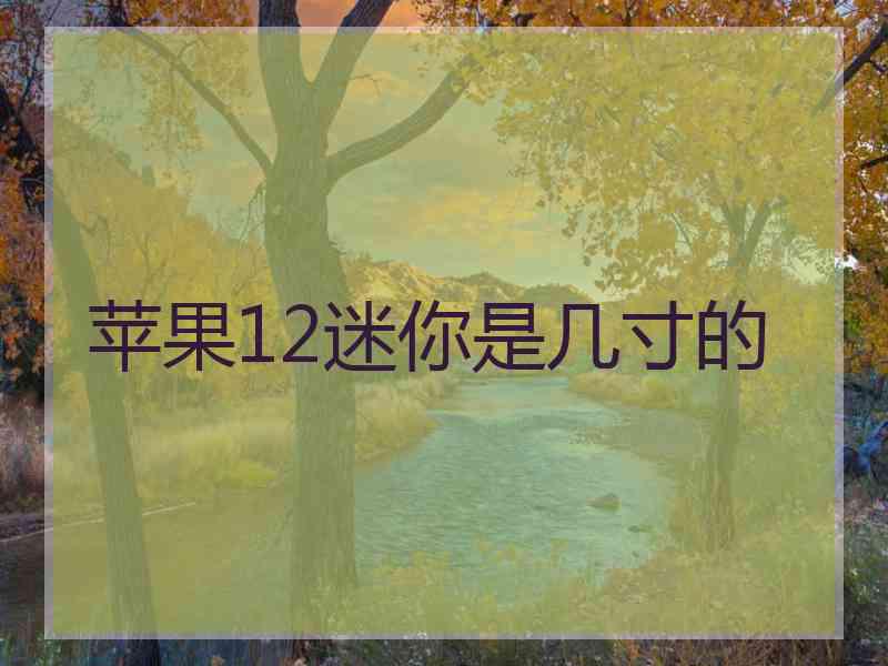 苹果12迷你是几寸的