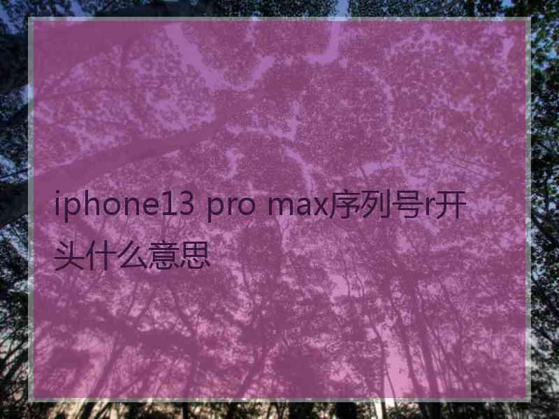 iphone13 pro max序列号r开头什么意思