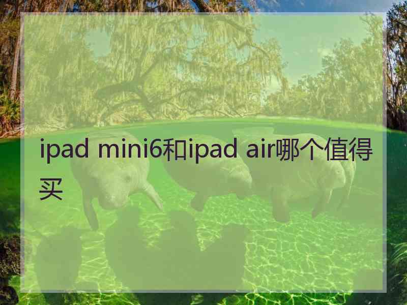 ipad mini6和ipad air哪个值得买