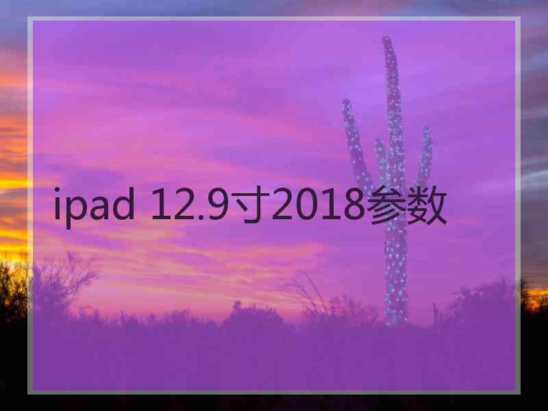 ipad 12.9寸2018参数