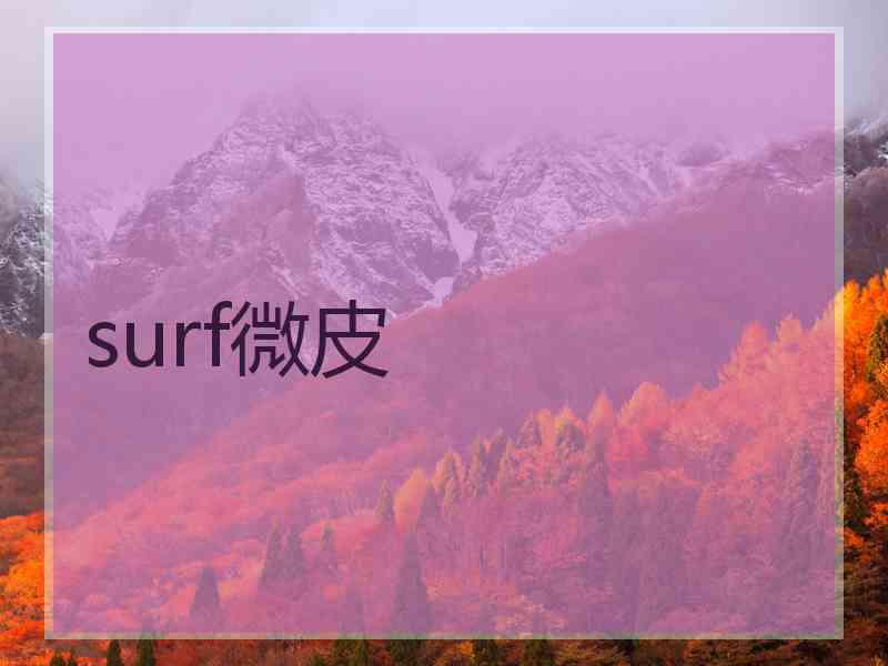 surf微皮