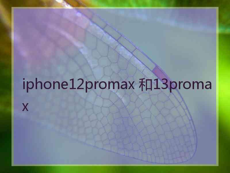 iphone12promax 和13promax