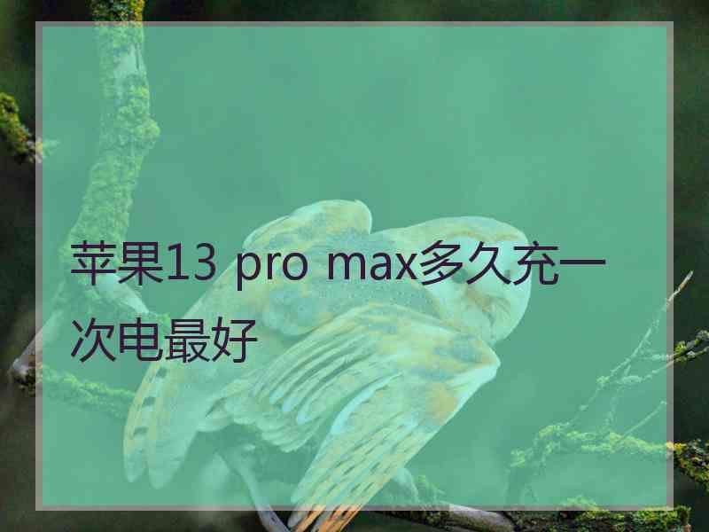 苹果13 pro max多久充一次电最好