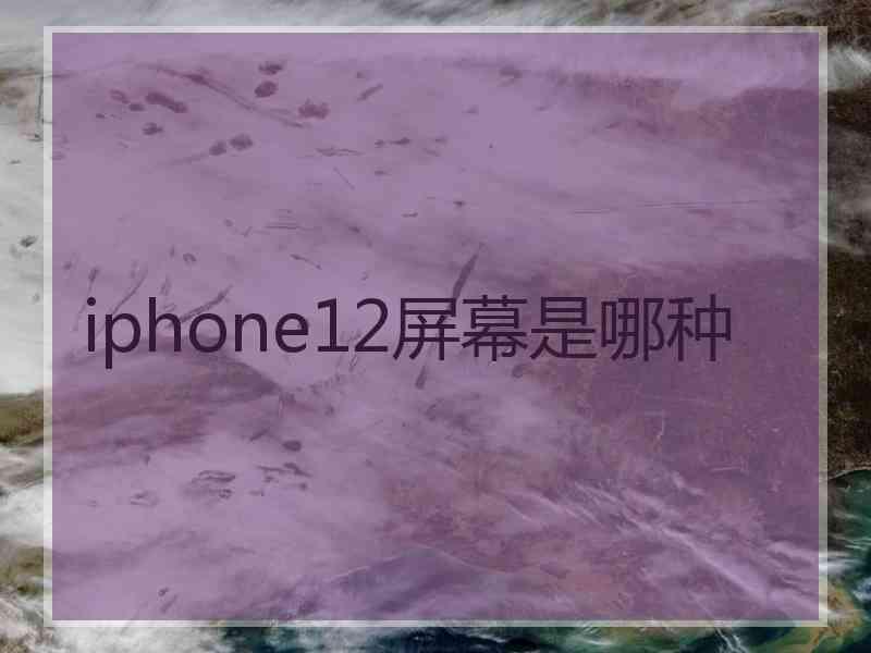 iphone12屏幕是哪种