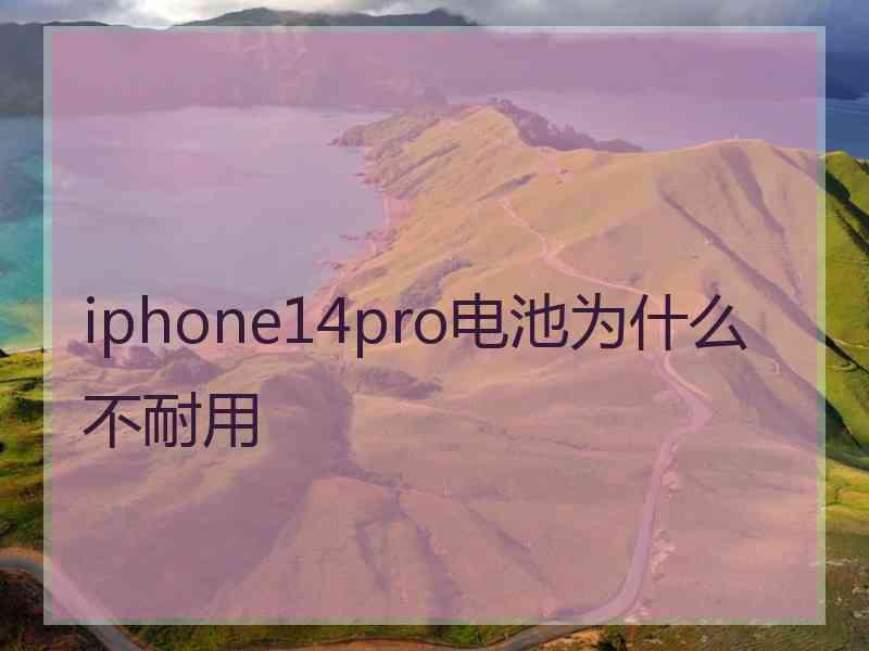 iphone14pro电池为什么不耐用