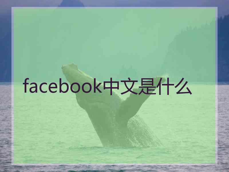 facebook中文是什么