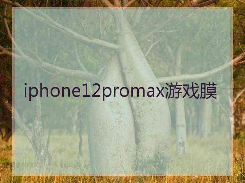 iphone12promax游戏膜