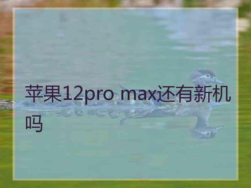 苹果12pro max还有新机吗