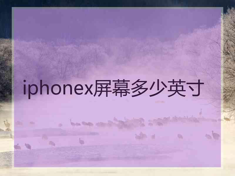 iphonex屏幕多少英寸