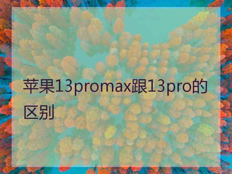 苹果13promax跟13pro的区别