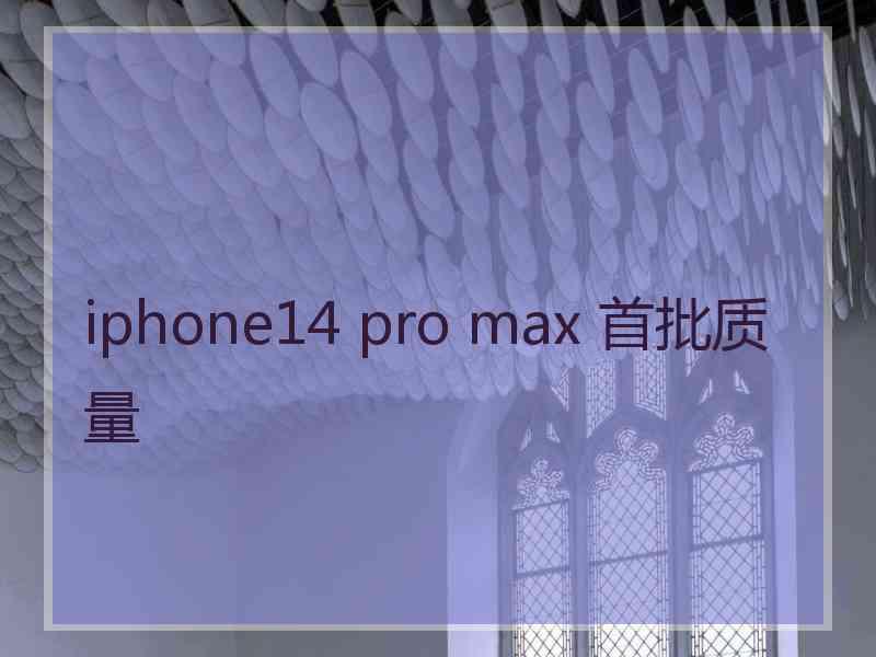 iphone14 pro max 首批质量