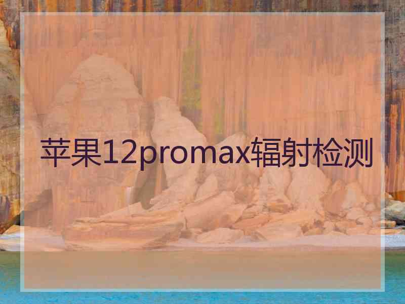 苹果12promax辐射检测