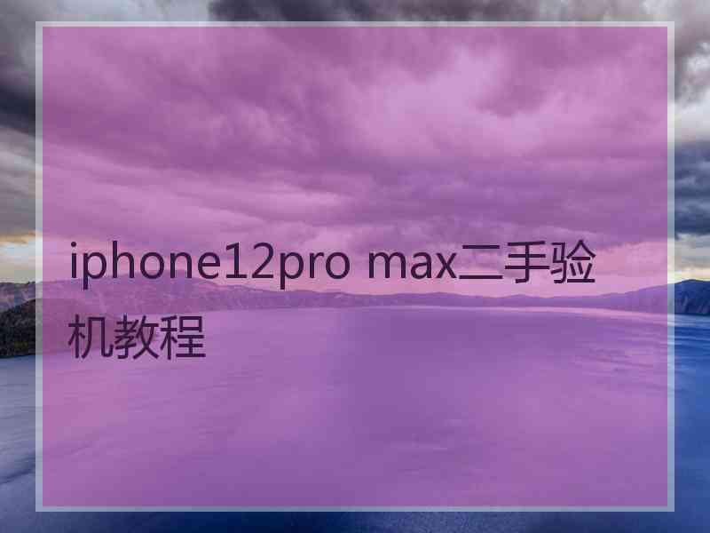 iphone12pro max二手验机教程