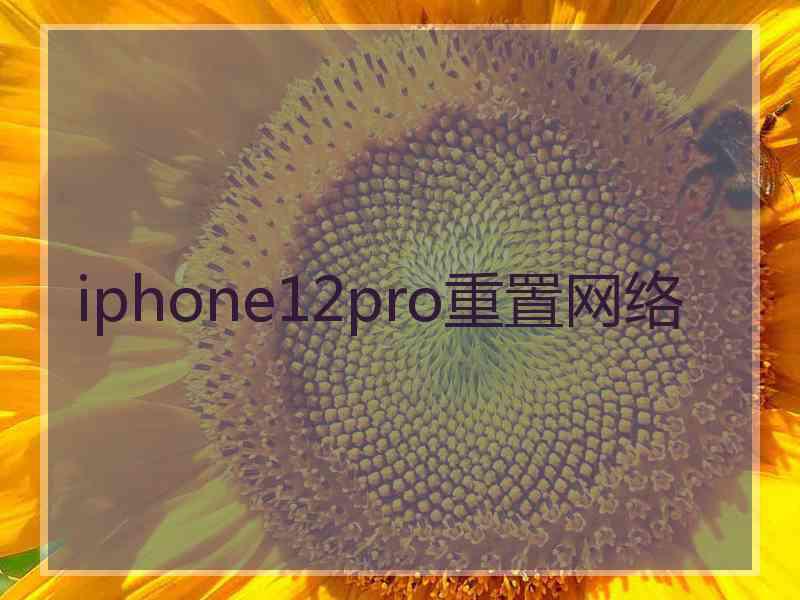 iphone12pro重置网络