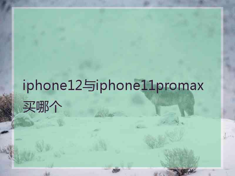 iphone12与iphone11promax买哪个