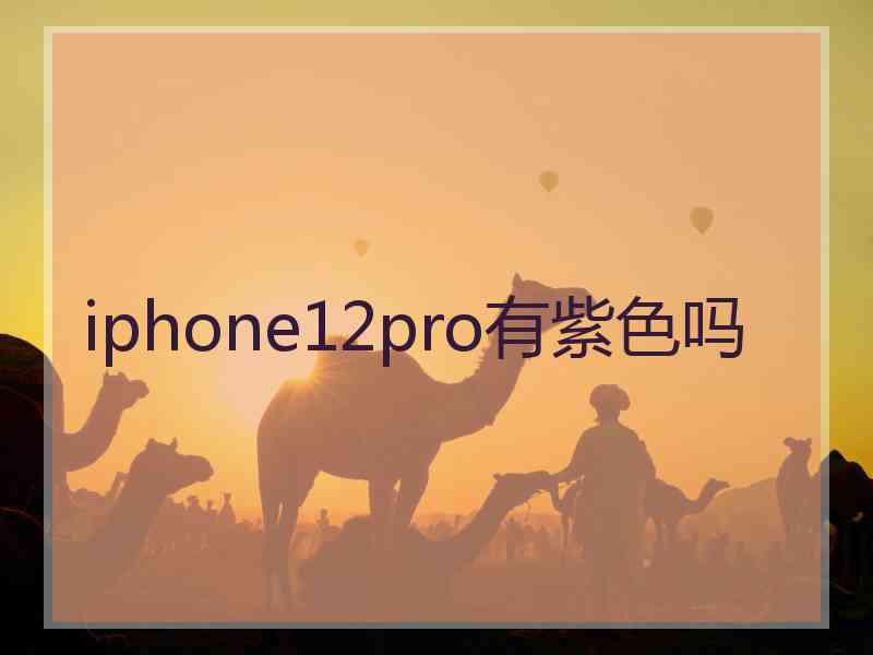 iphone12pro有紫色吗