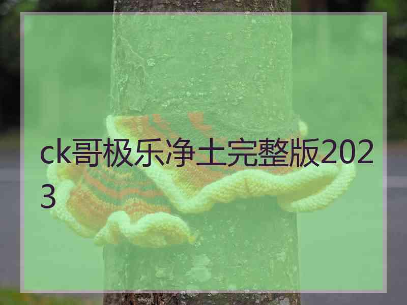 ck哥极乐净土完整版2023