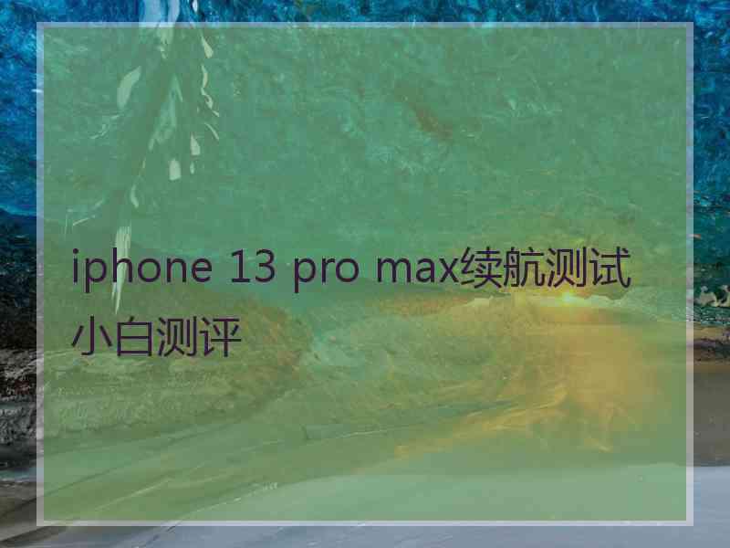 iphone 13 pro max续航测试小白测评