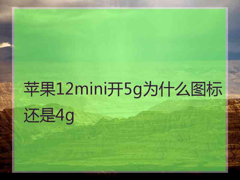 苹果12mini开5g为什么图标还是4g