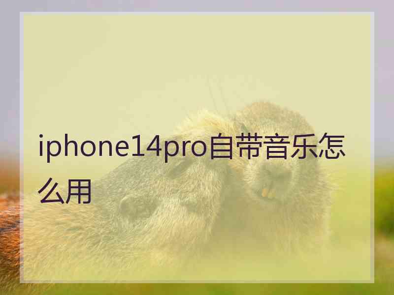 iphone14pro自带音乐怎么用