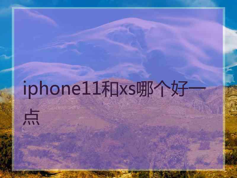 iphone11和xs哪个好一点