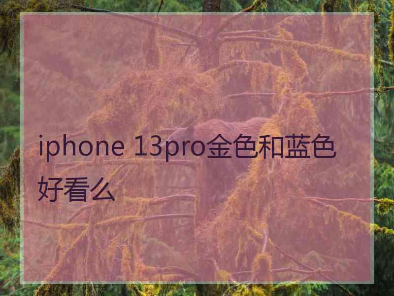 iphone 13pro金色和蓝色好看么