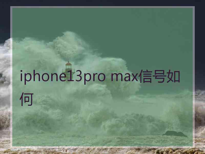 iphone13pro max信号如何