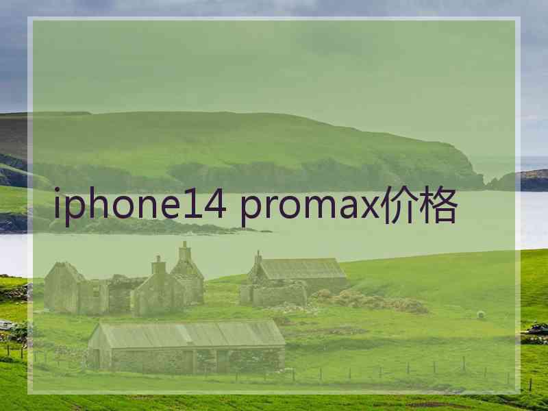 iphone14 promax价格