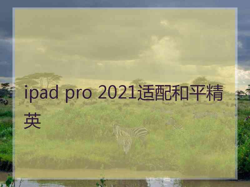 ipad pro 2021适配和平精英