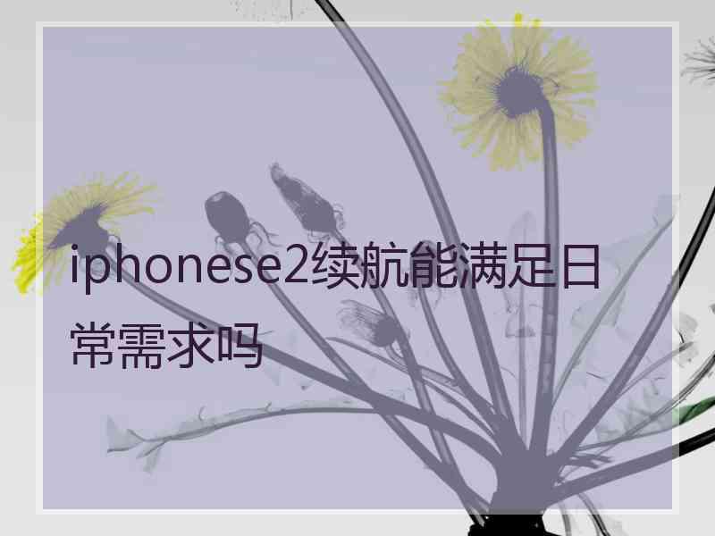 iphonese2续航能满足日常需求吗